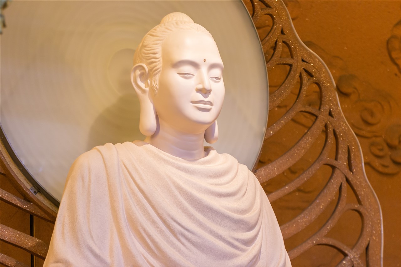 Ảnh 14