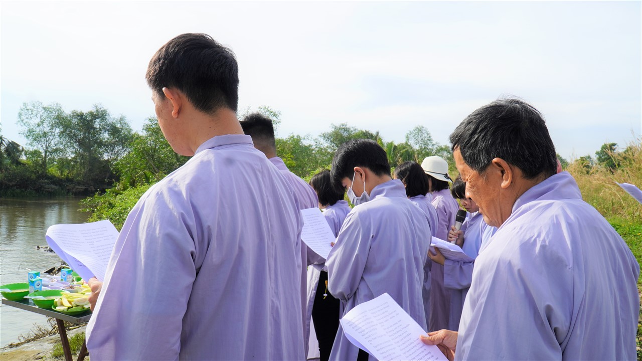 Ảnh 21