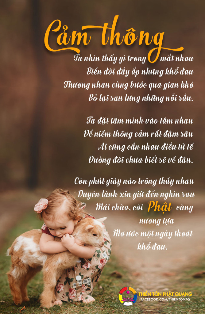 Cảm thông