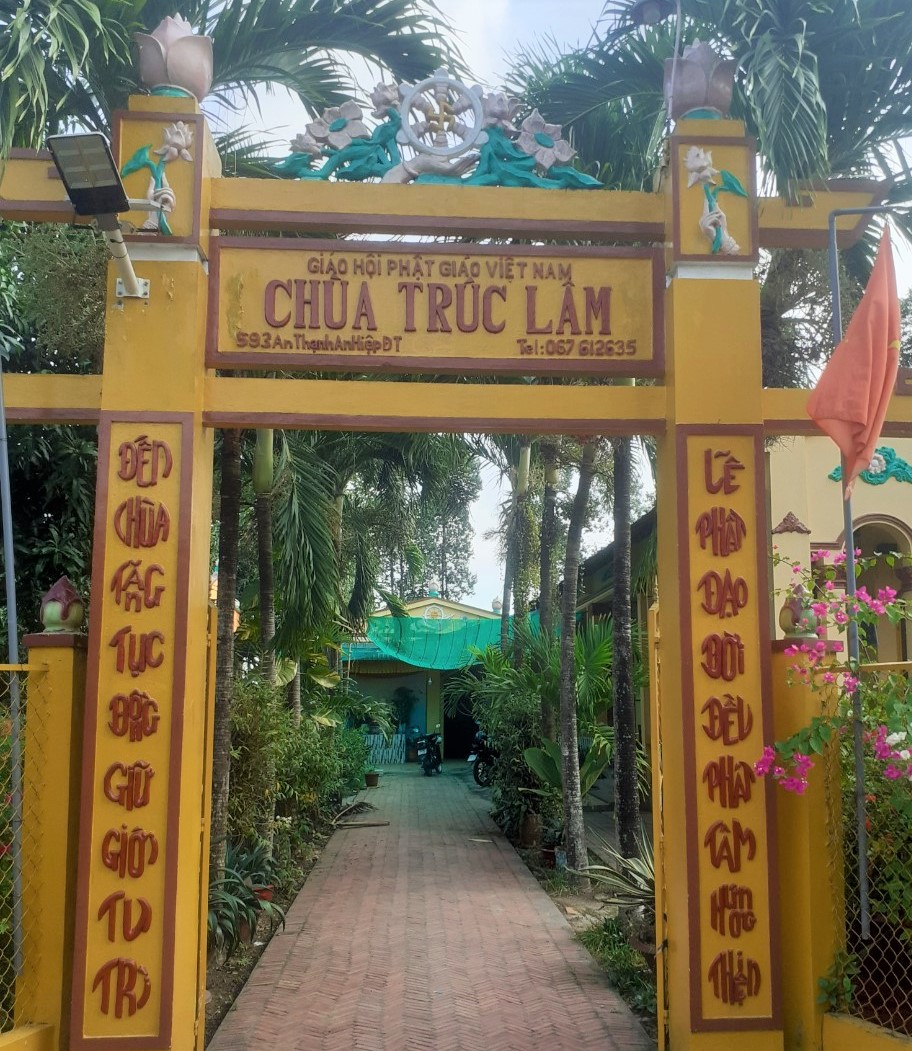 Ảnh 7