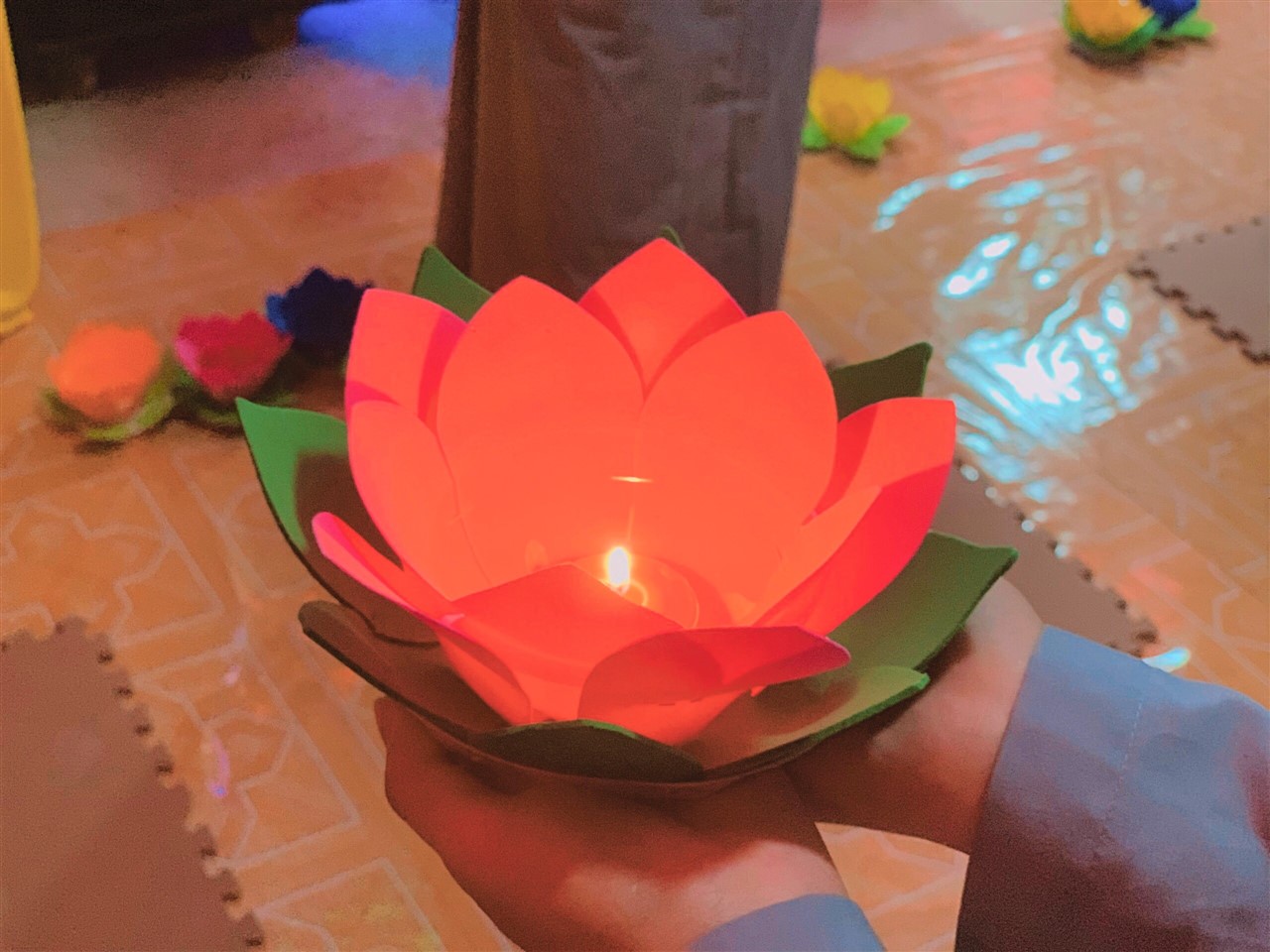 Ảnh 16
