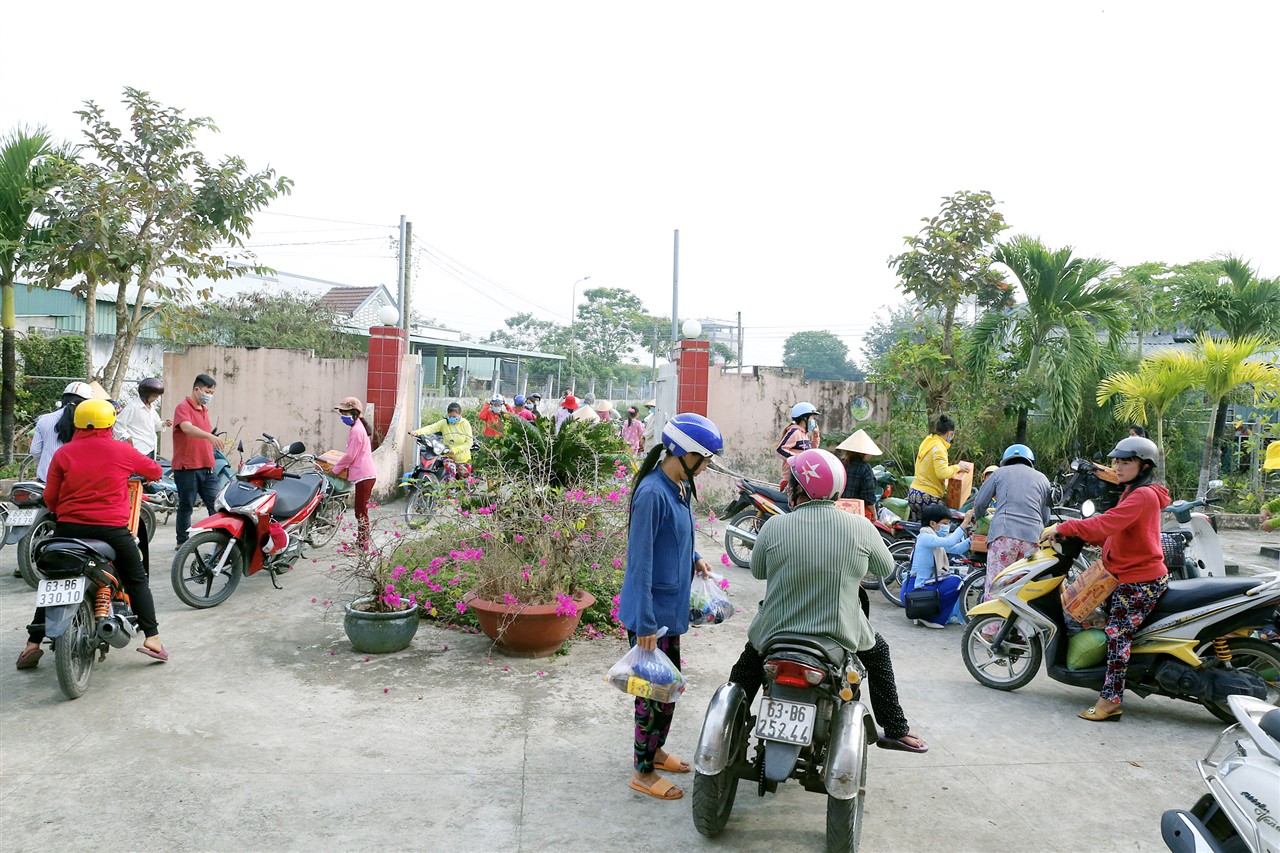 Ảnh 43