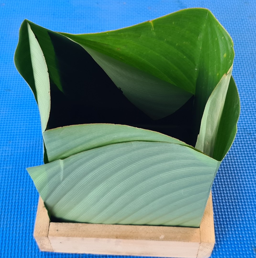 Ảnh 22