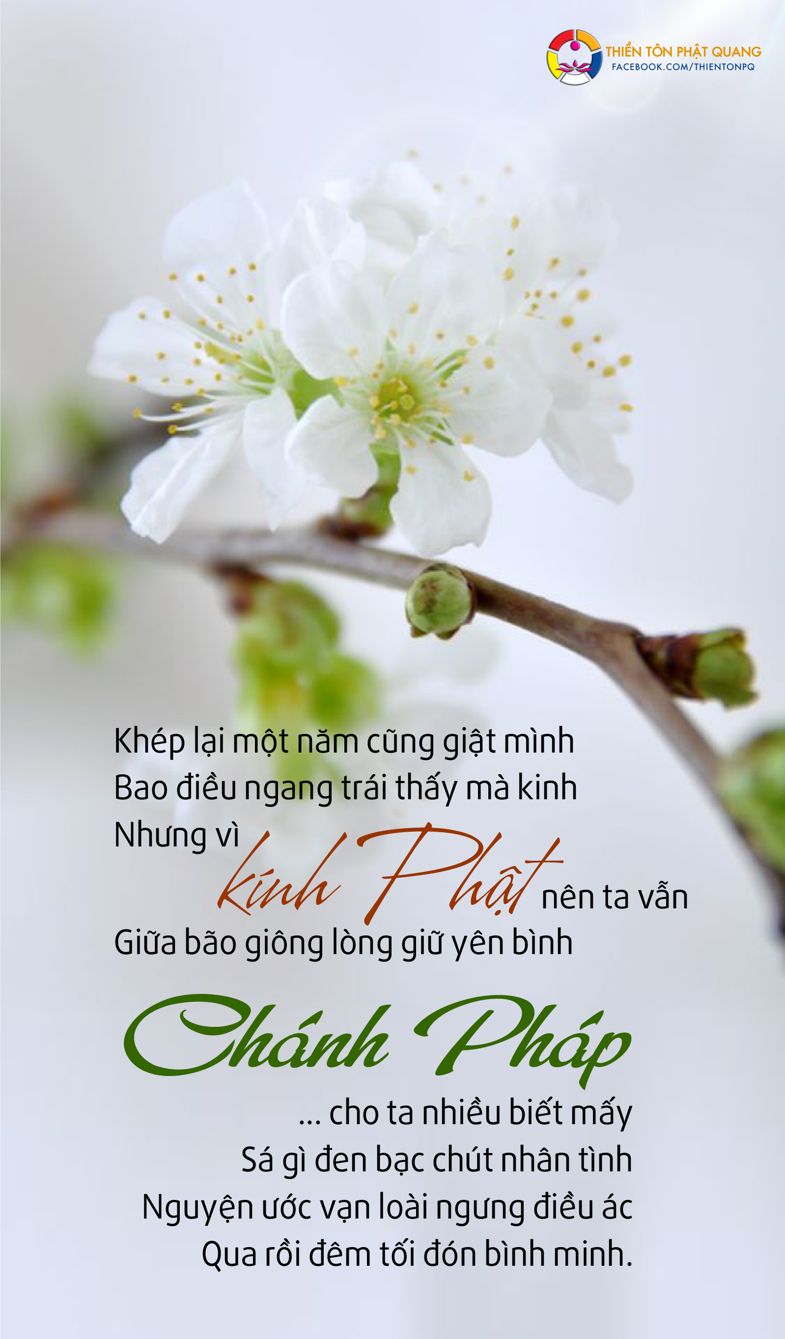 Những hệ quả phải hóa giải