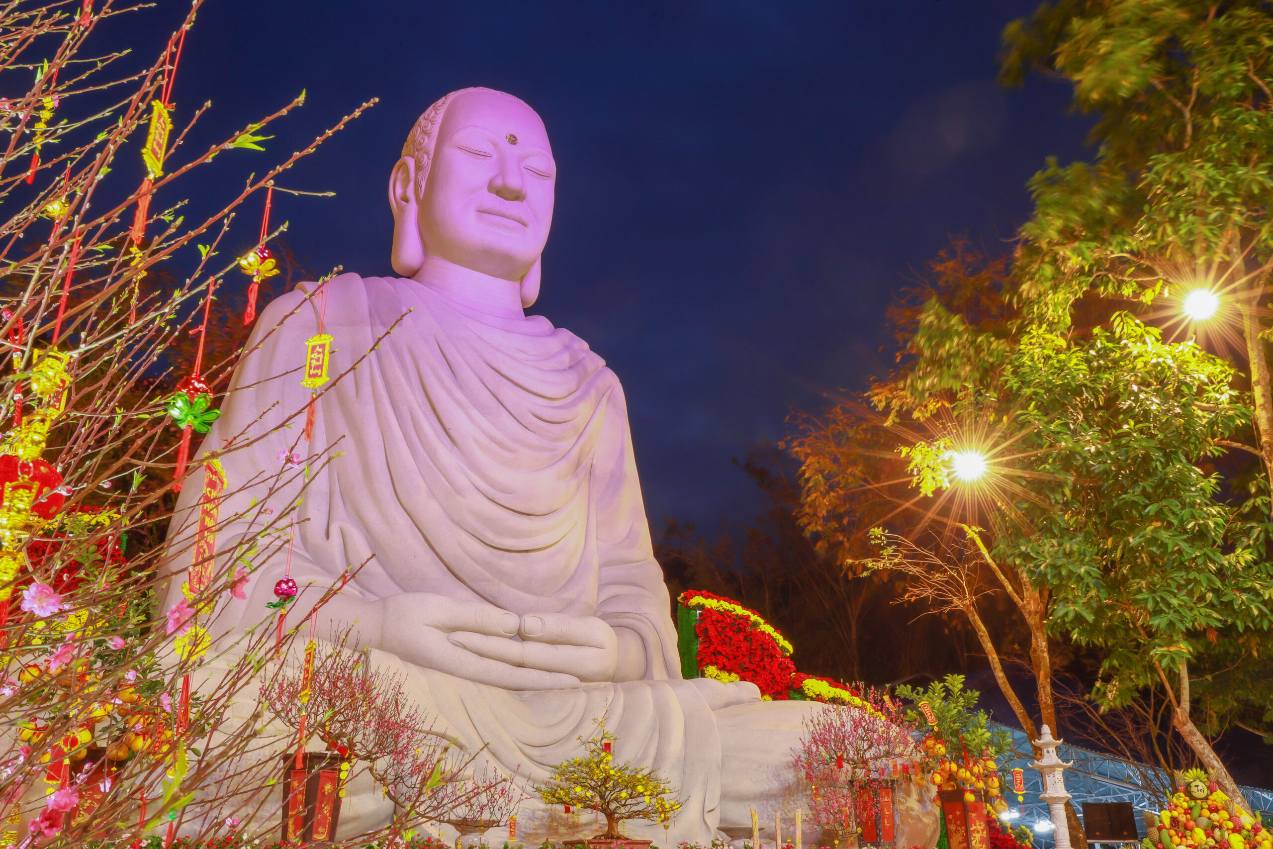 Ước nguyện ngày xuân