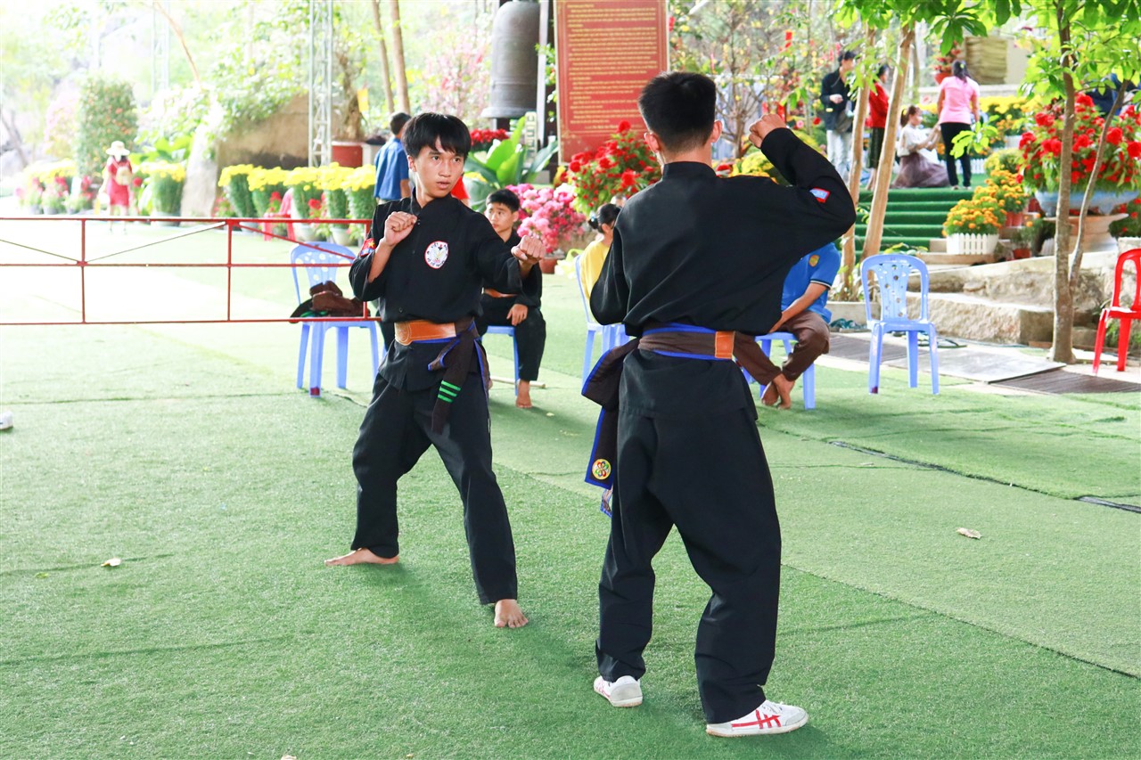Ảnh 17