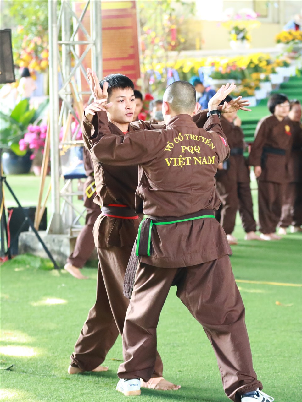 Ảnh 7