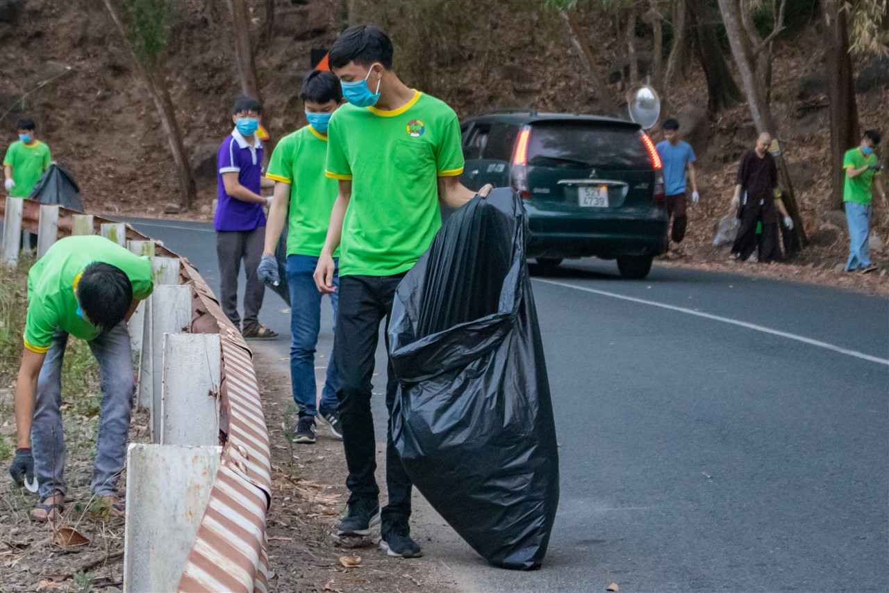 Ảnh 12