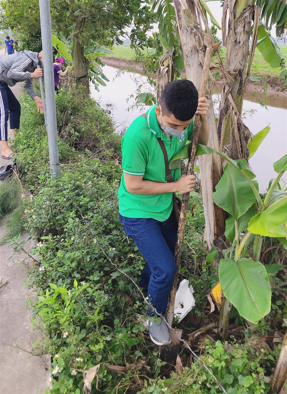 Ảnh 33