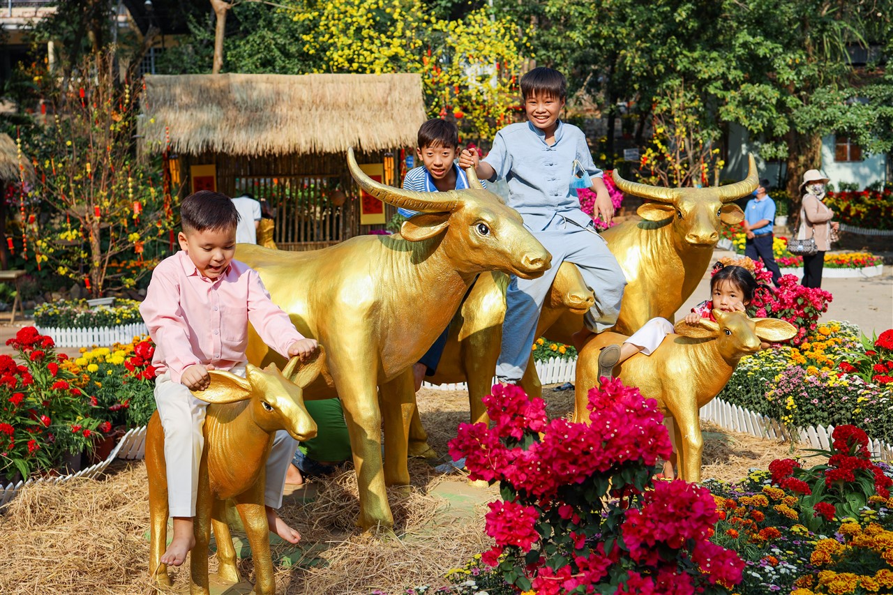 Năm Trâu – Đôi điều suy ngẫm và chúc nhau