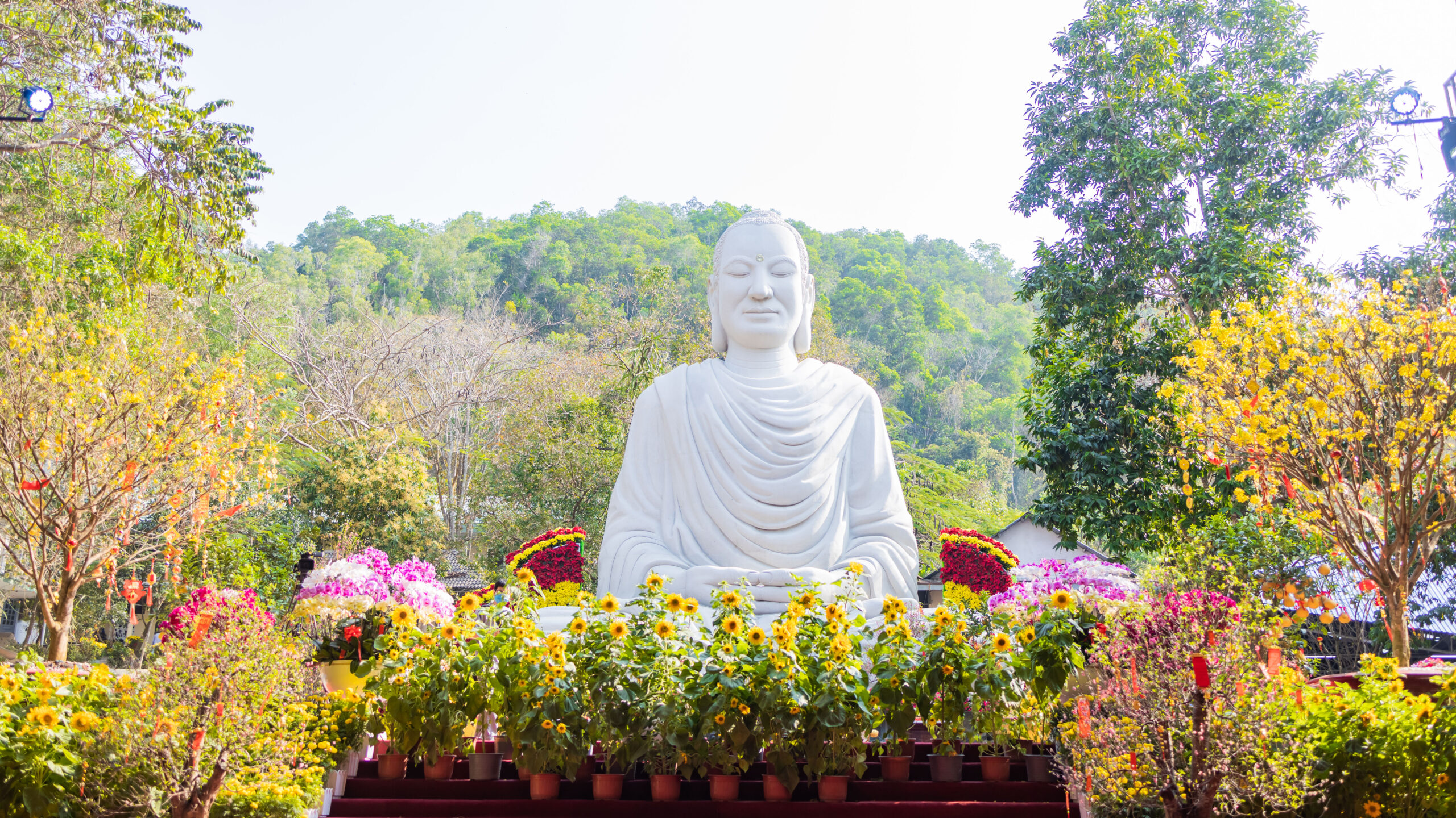 Xuân bên mái chùa yêu thương
