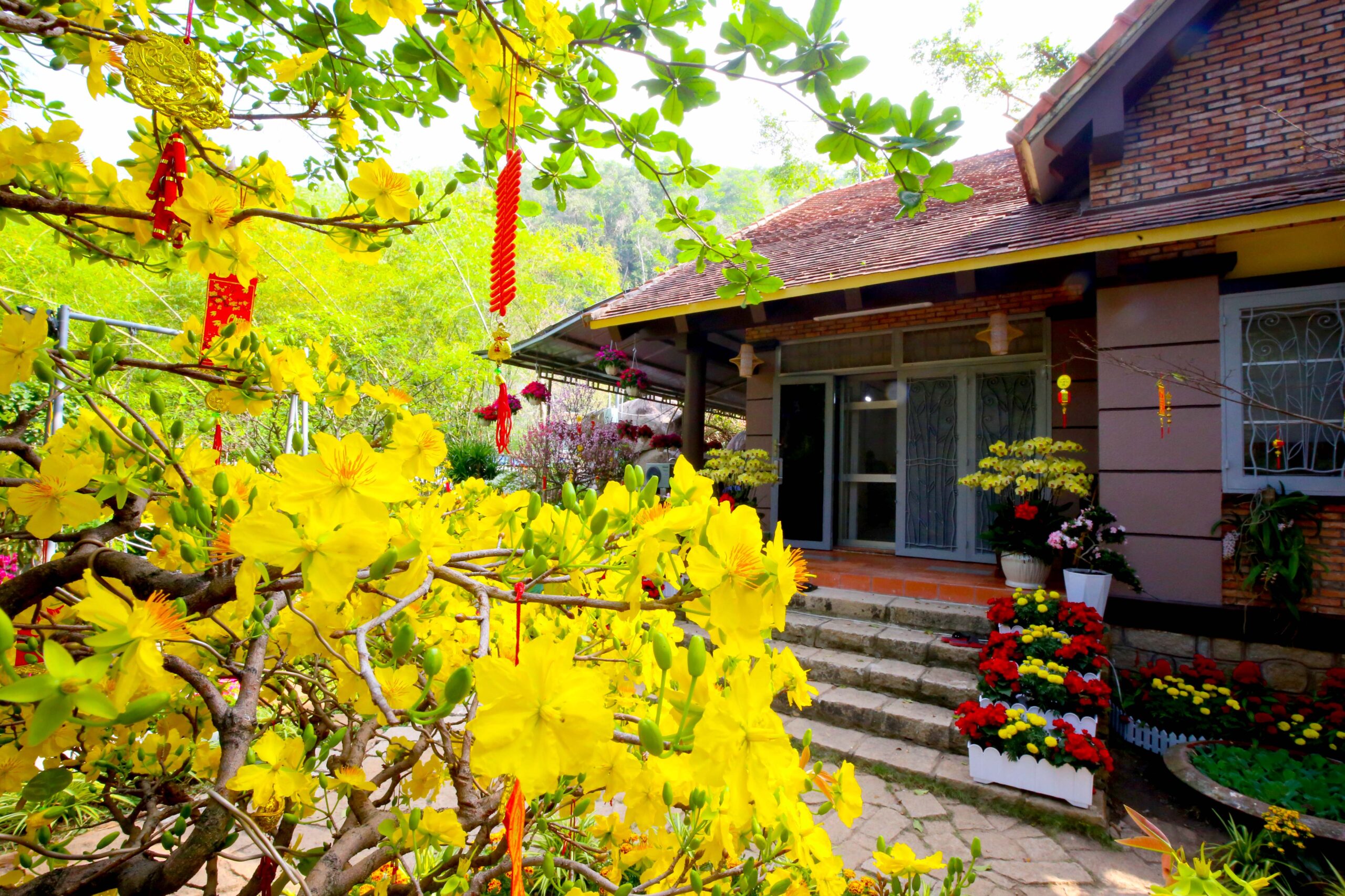 Hoa xuân nơi cõi thiêng