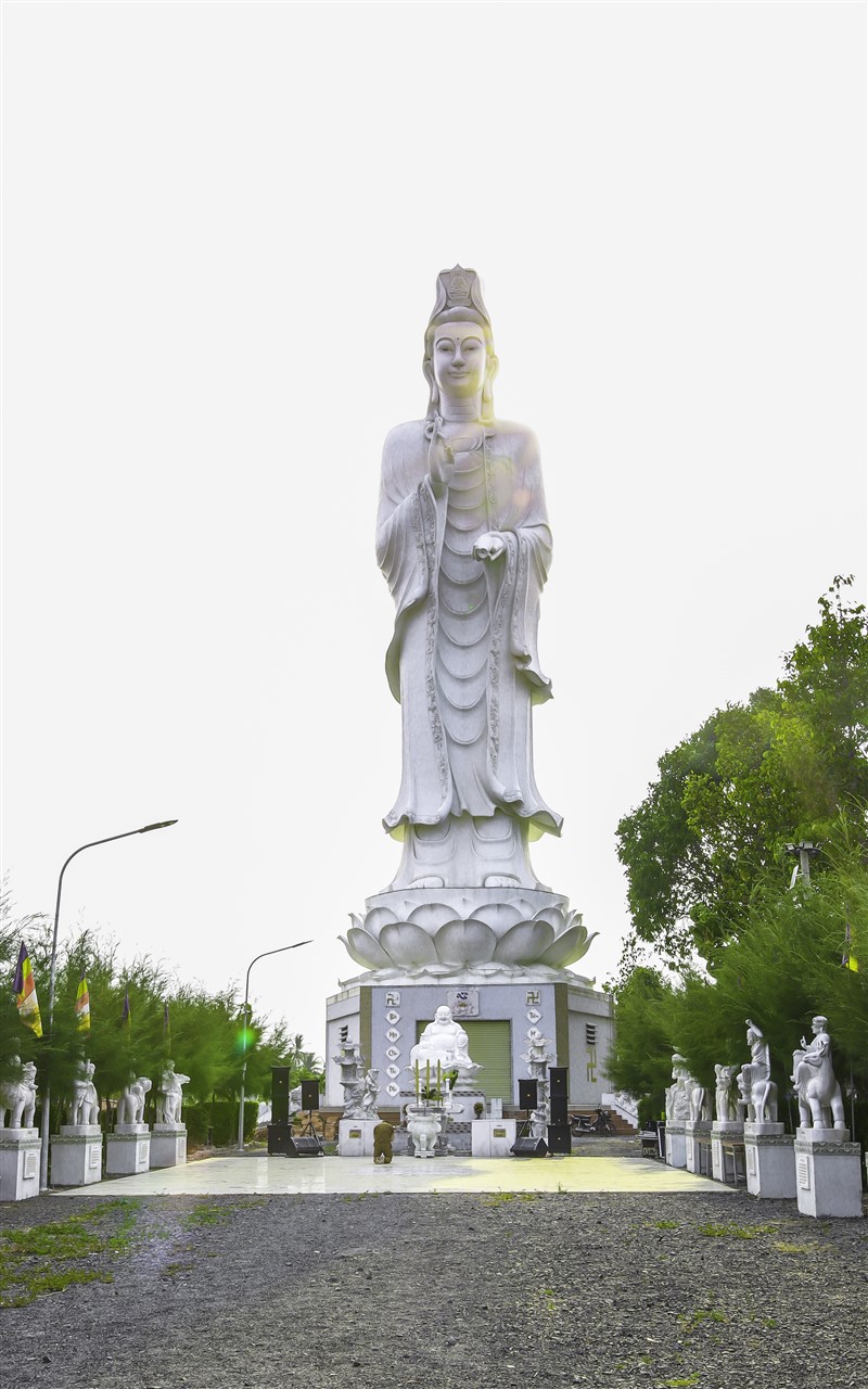 Ảnh 100
