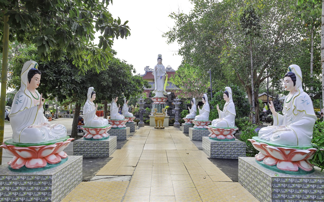 Ảnh 102