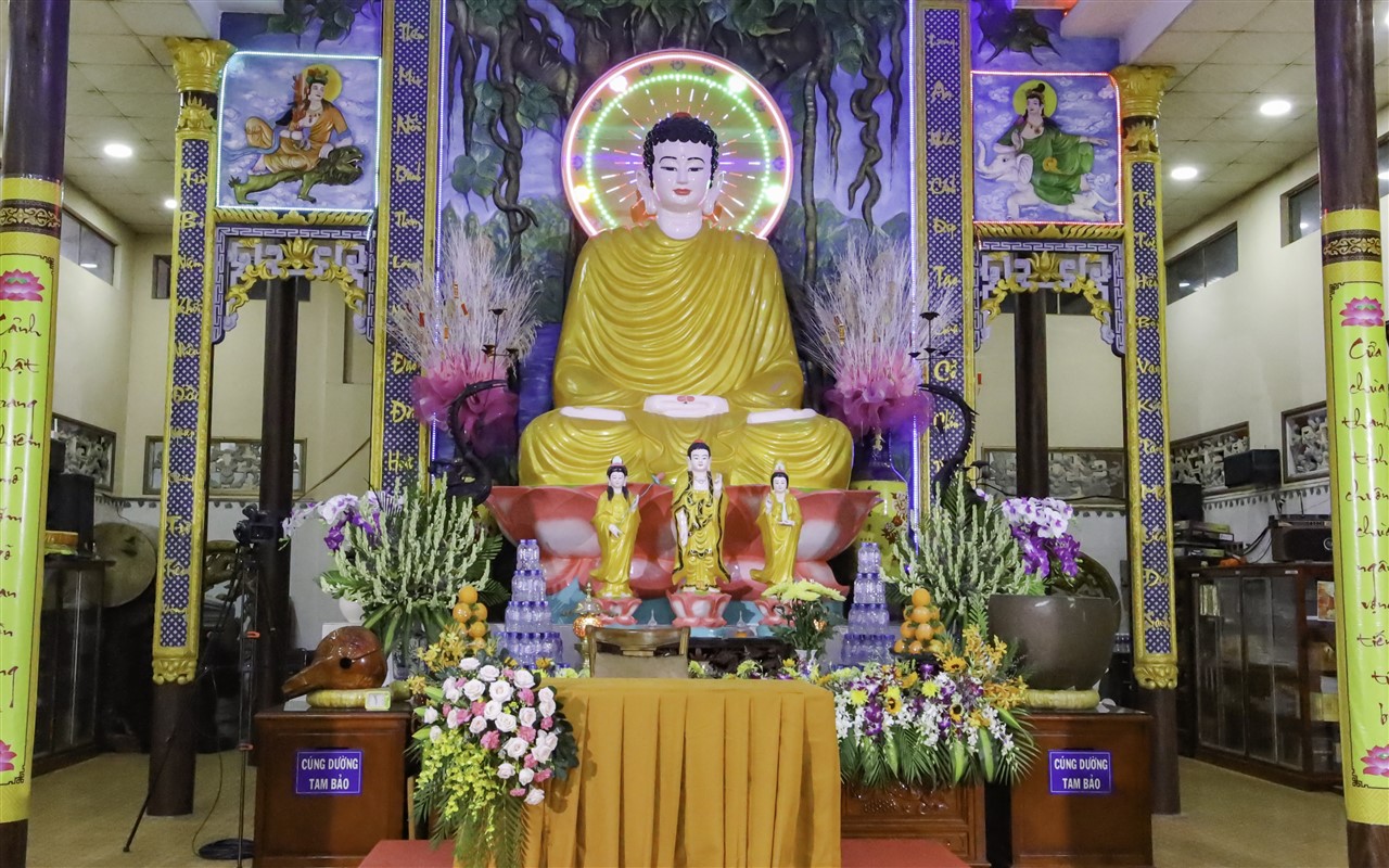 Ảnh 20