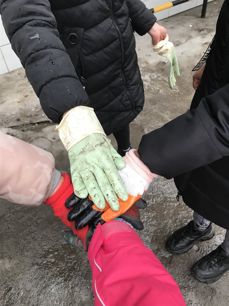 Ảnh 5