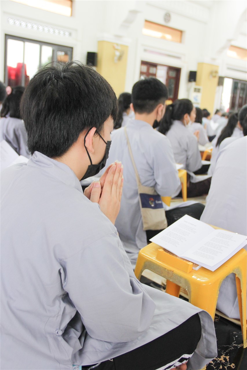 Ảnh 45