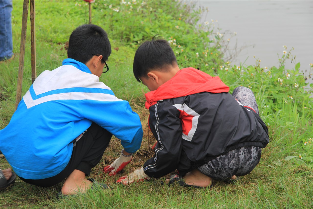Ảnh 15
