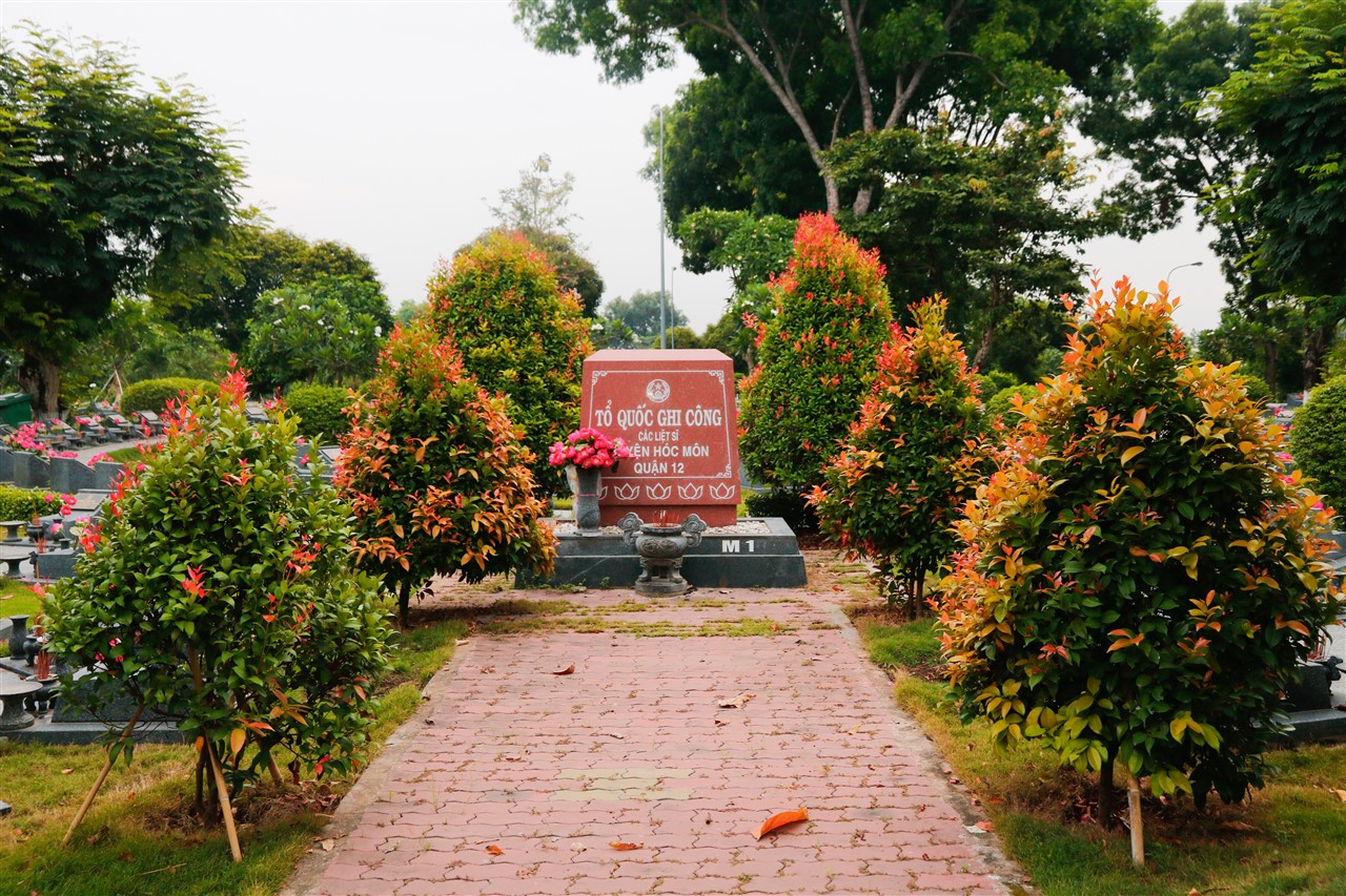 Ảnh 67