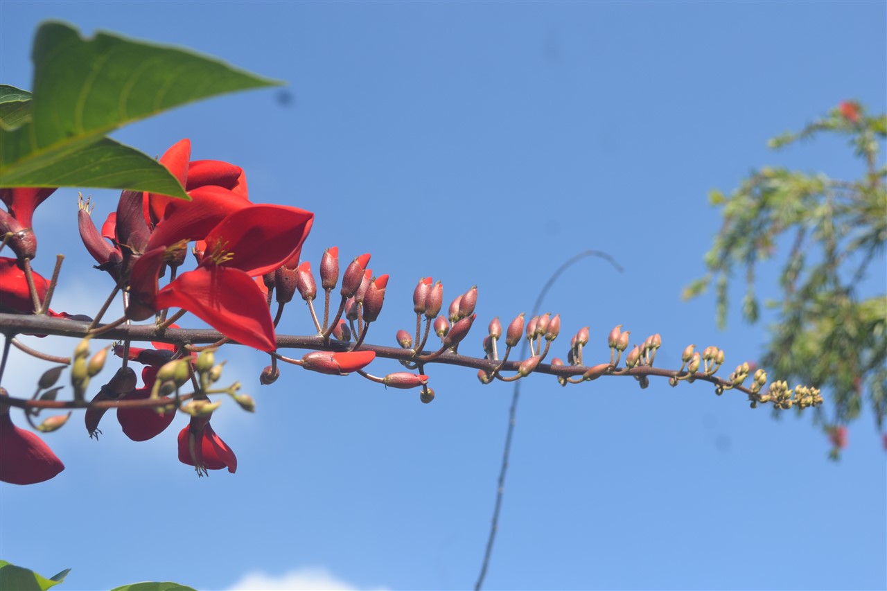 Ảnh 24