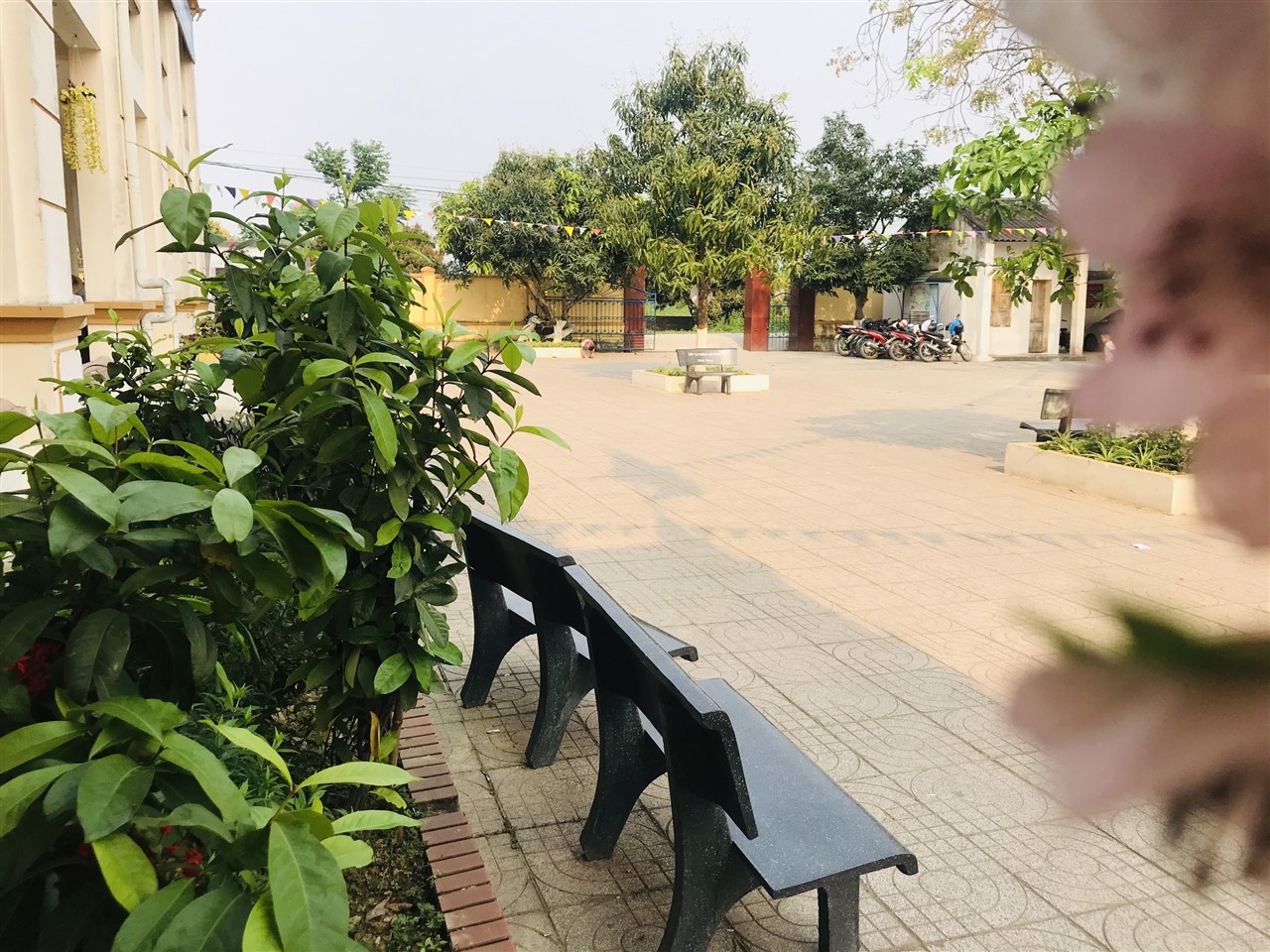 Ảnh 55