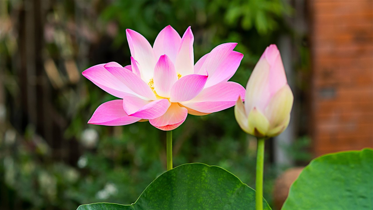 131 năm ngày sinh của Người
