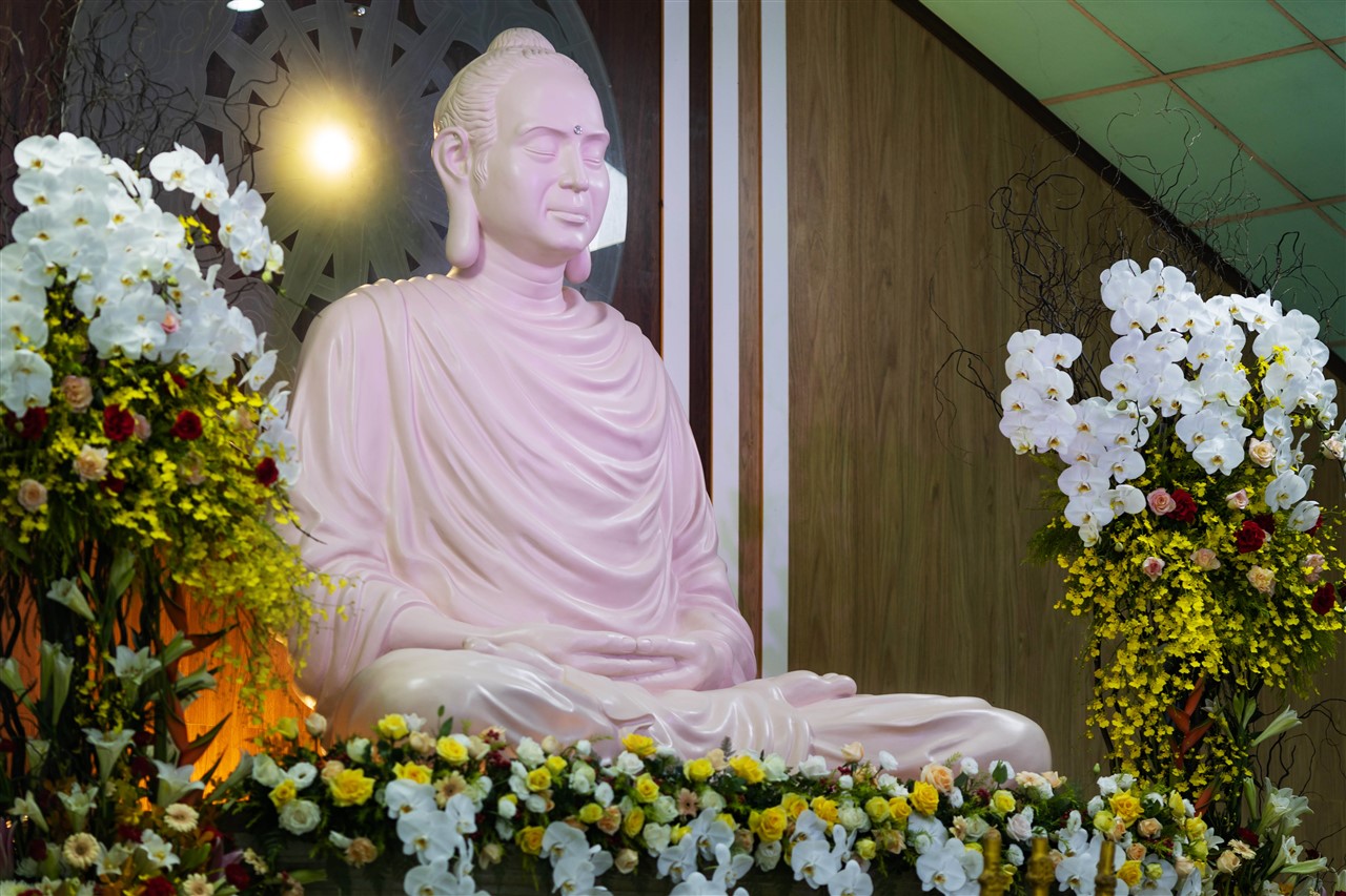 Ảnh 10