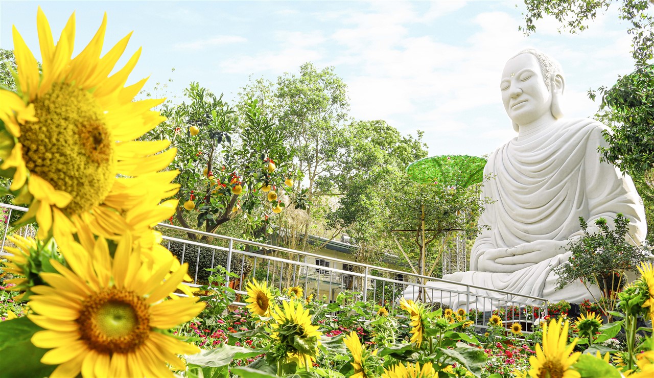 Tại sao ta lựa chọn đi theo Chánh Pháp