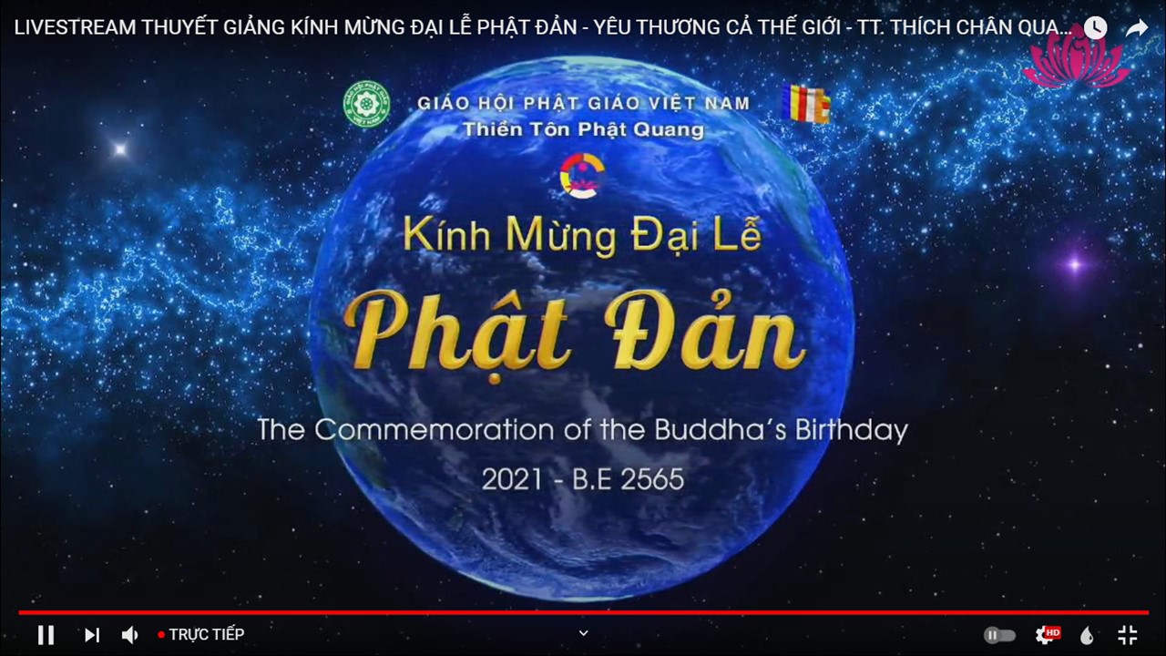 Ảnh 11