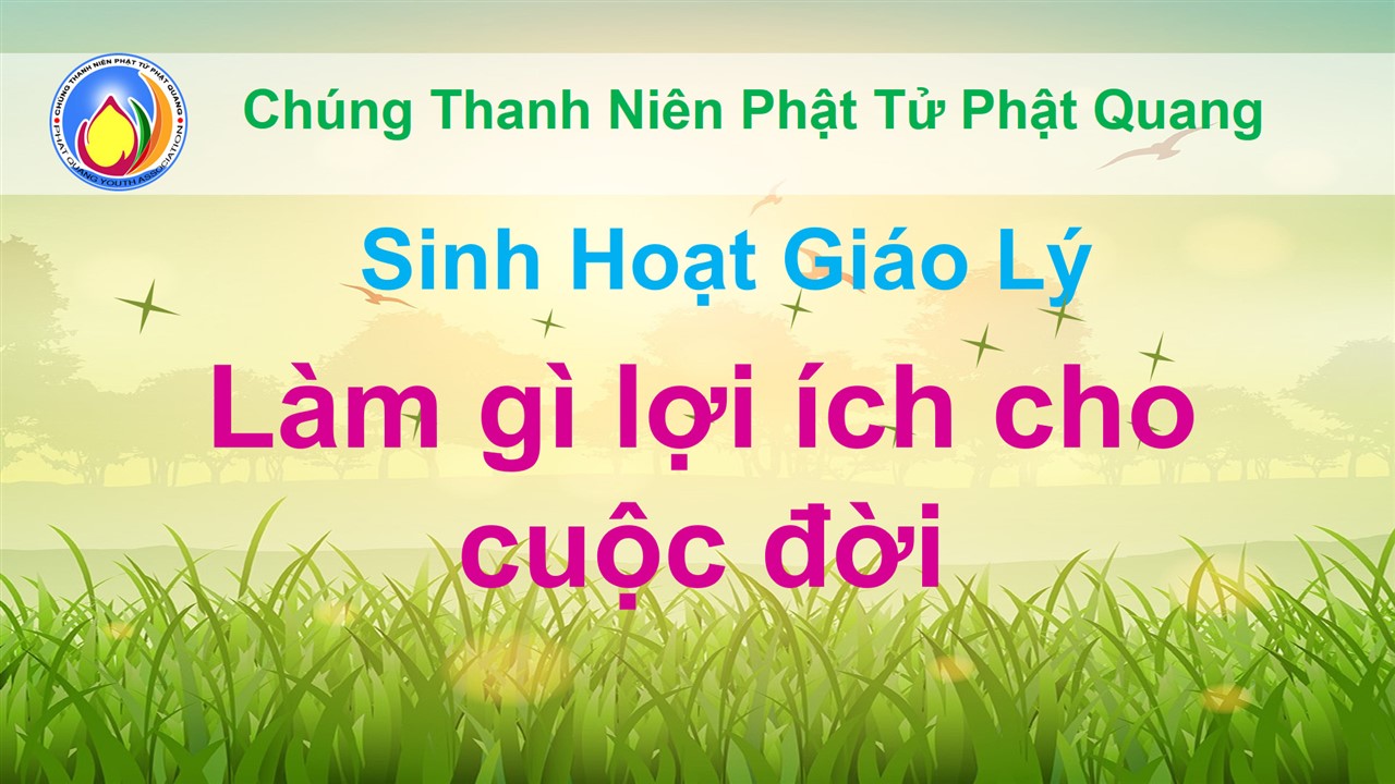 Ảnh 1