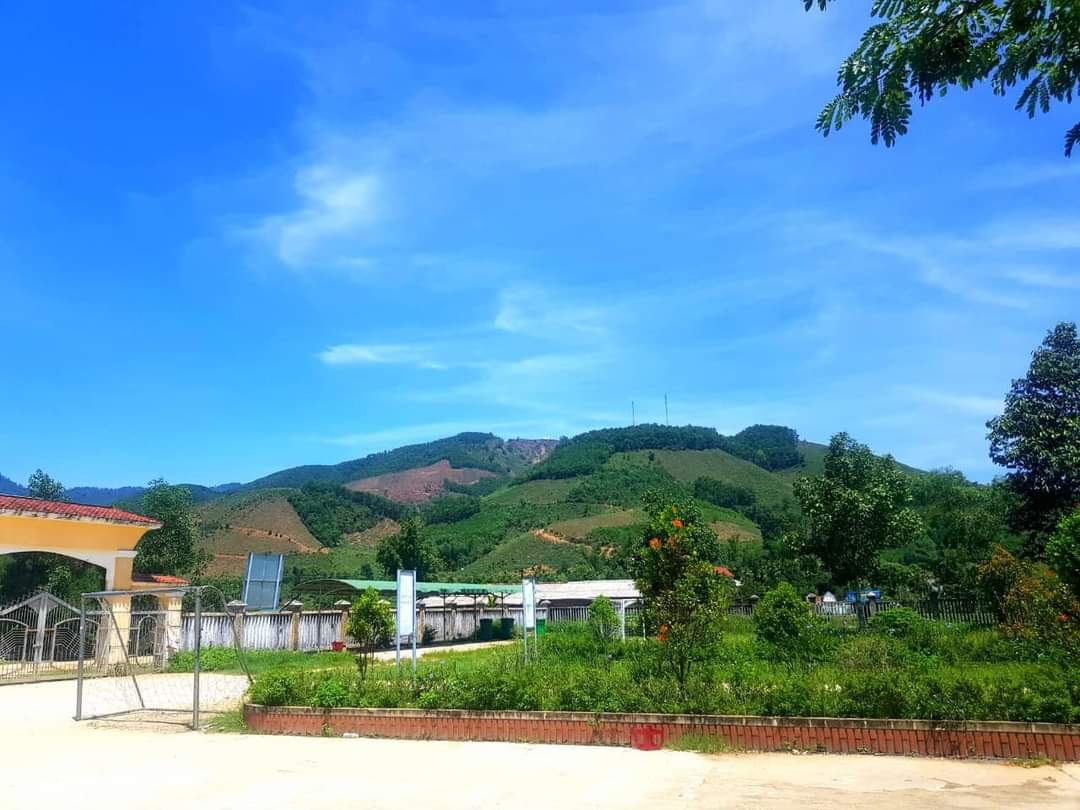 Ảnh 4