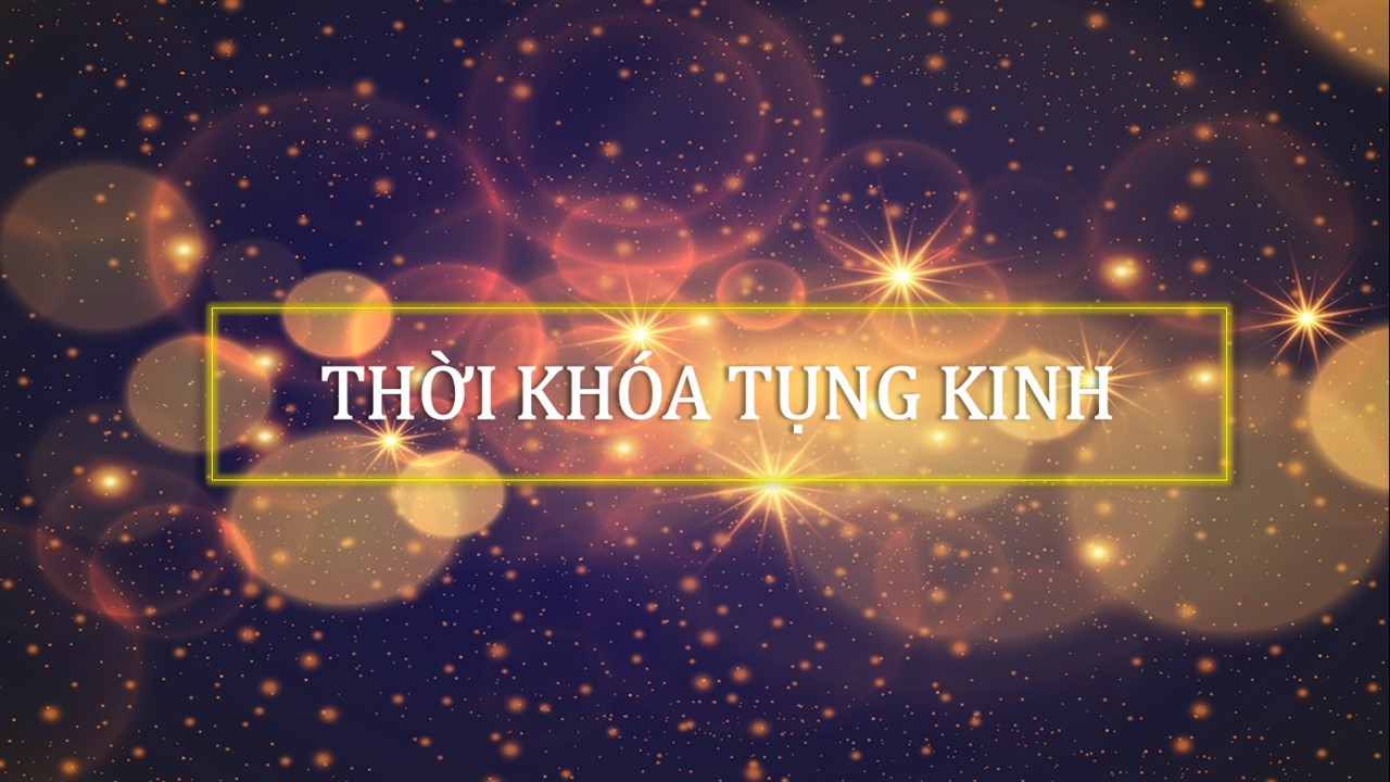 Ảnh 2