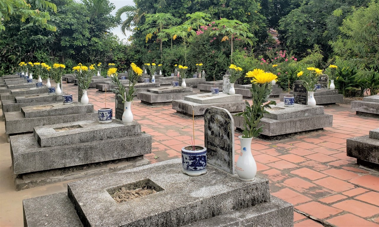 Ảnh 15