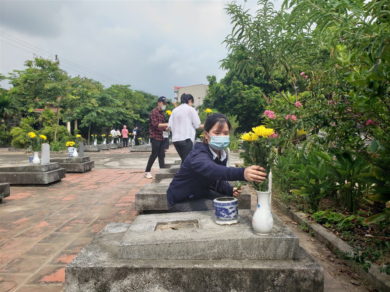 Ảnh 12