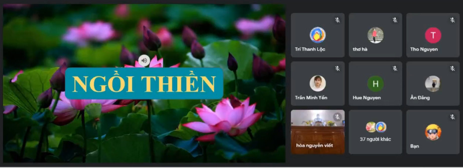 Ảnh 8