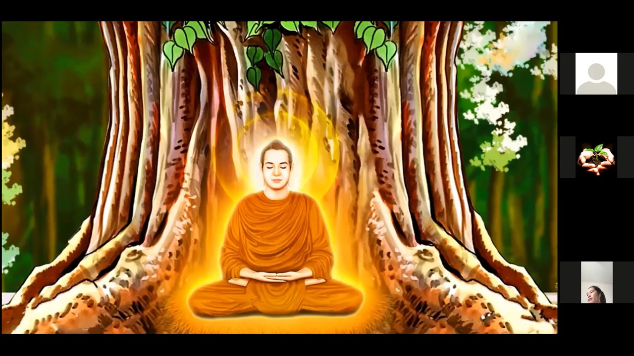 Ảnh 5