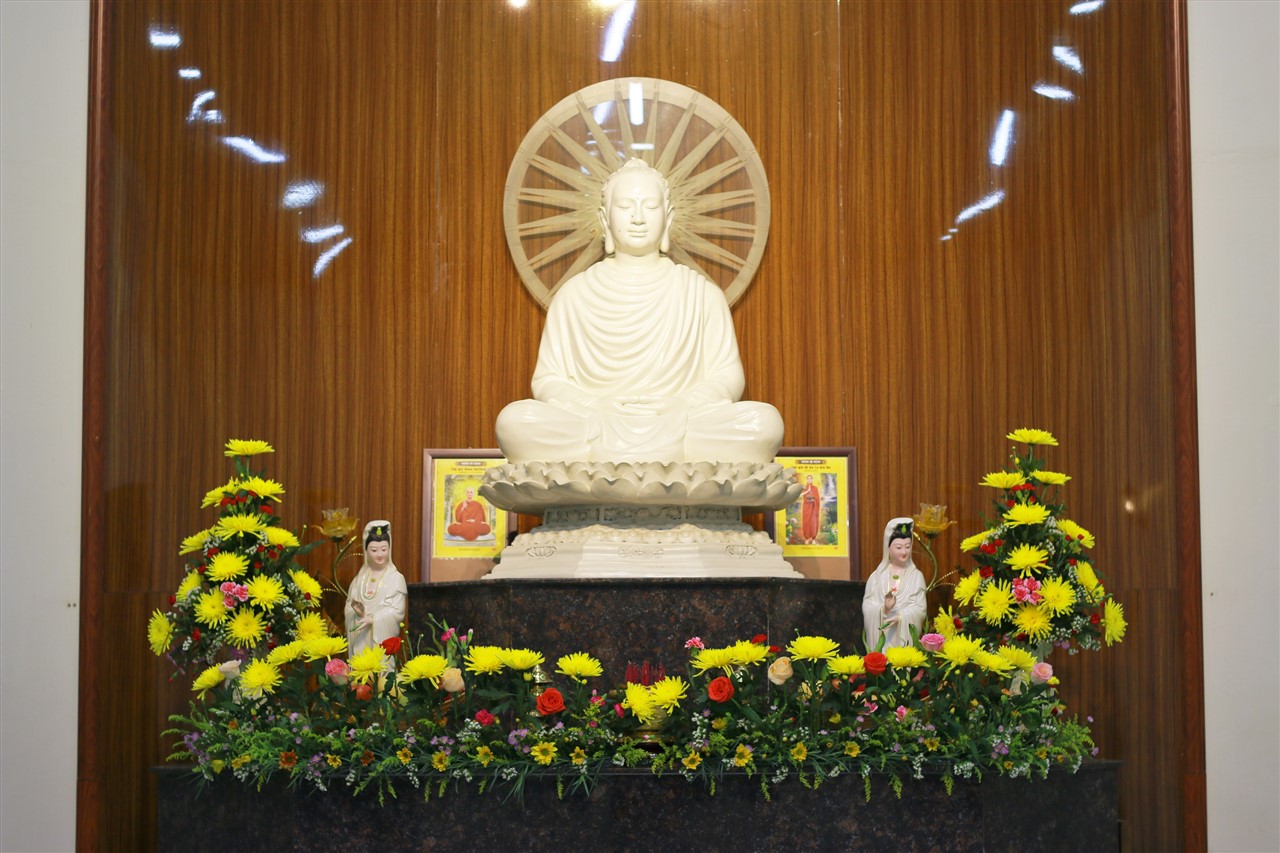 Ảnh 20
