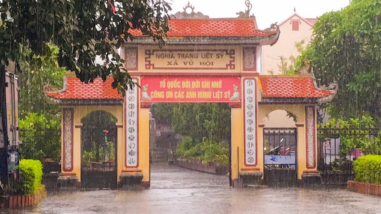 Ảnh 17