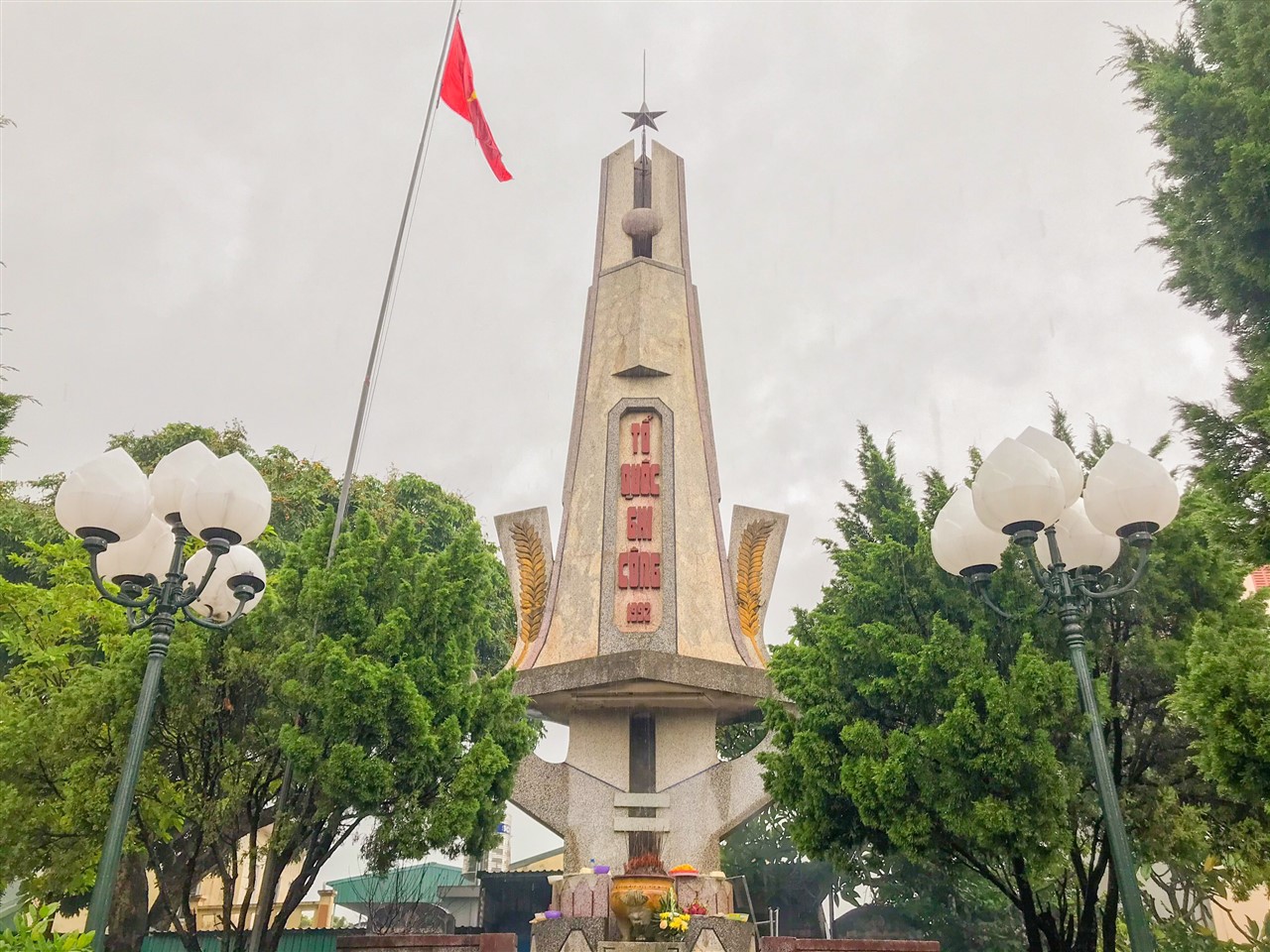 Ảnh 14