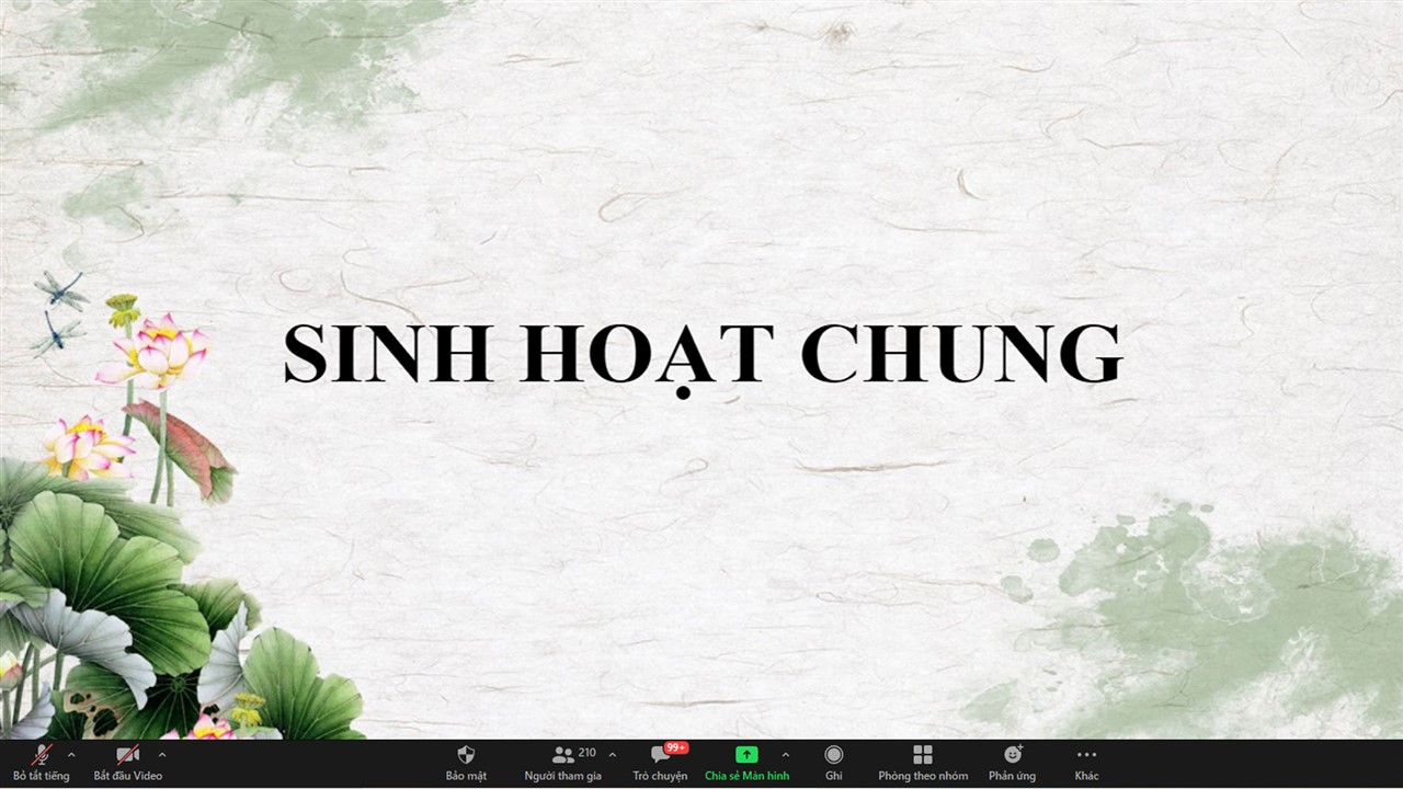 Ảnh 5