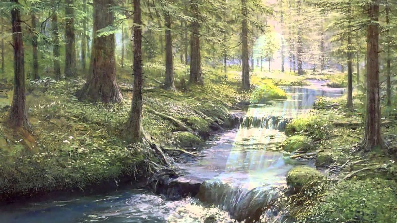 Bài hát: Bóng tùng mãi mãi – TT. Thích Chân Quang