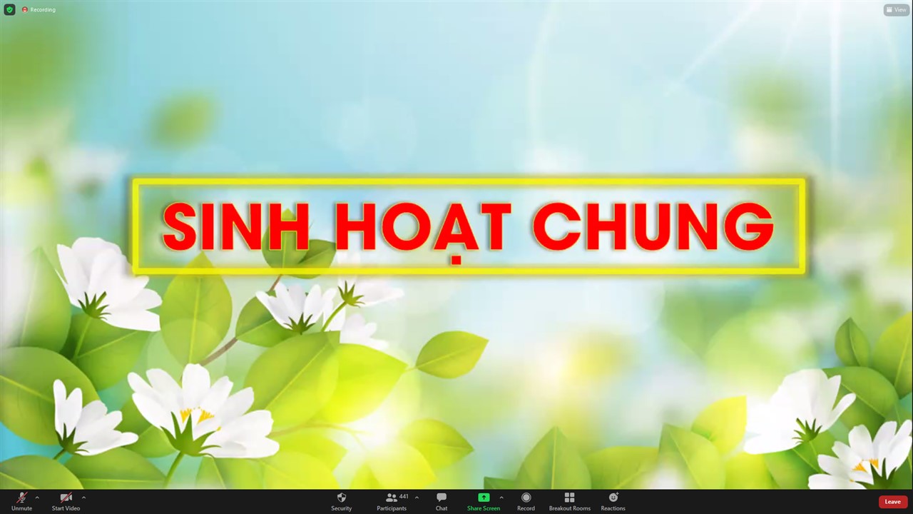 Ảnh 15