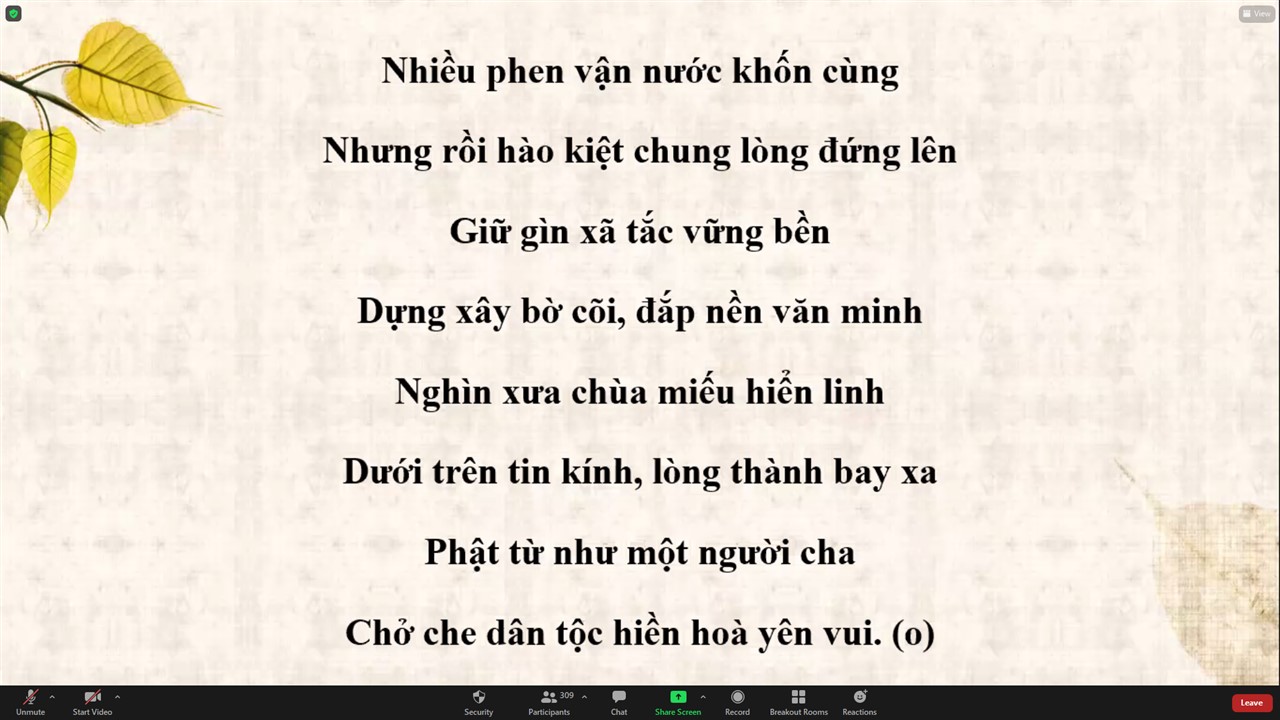 Ảnh 10