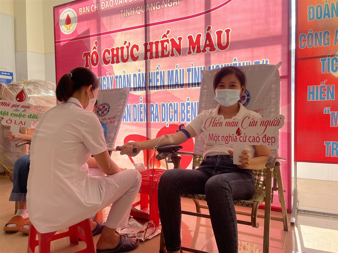 Ảnh 12