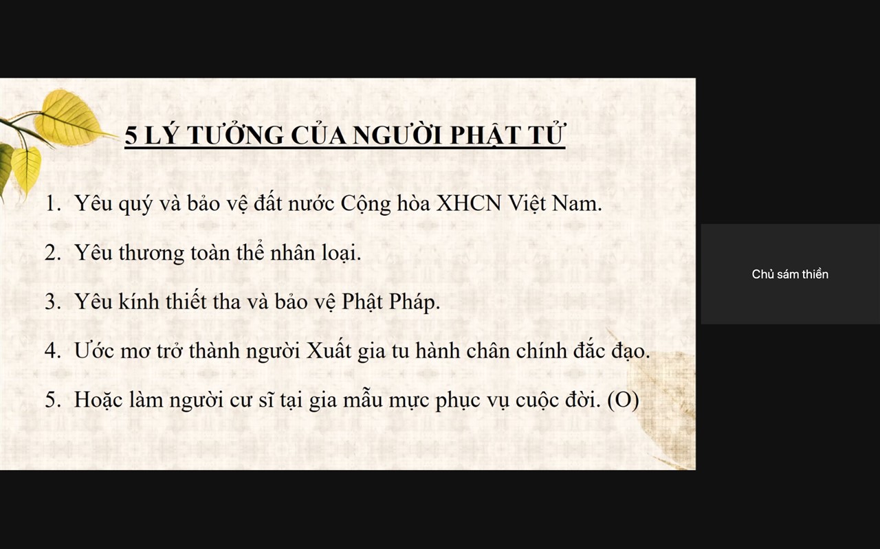 Ảnh 13