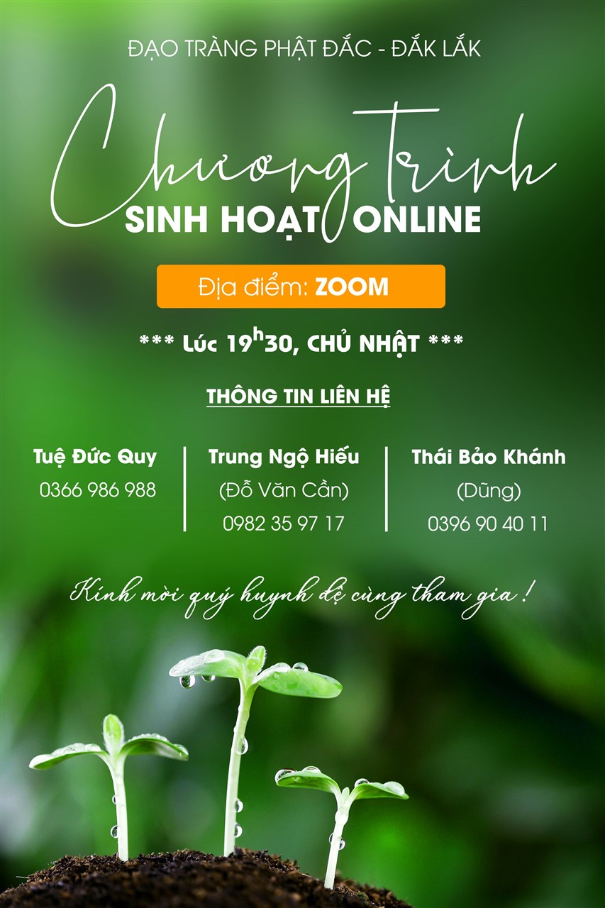 Ảnh 1