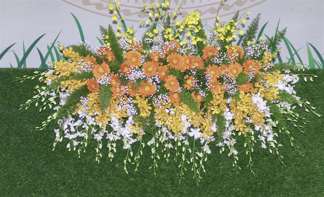 Ảnh 3