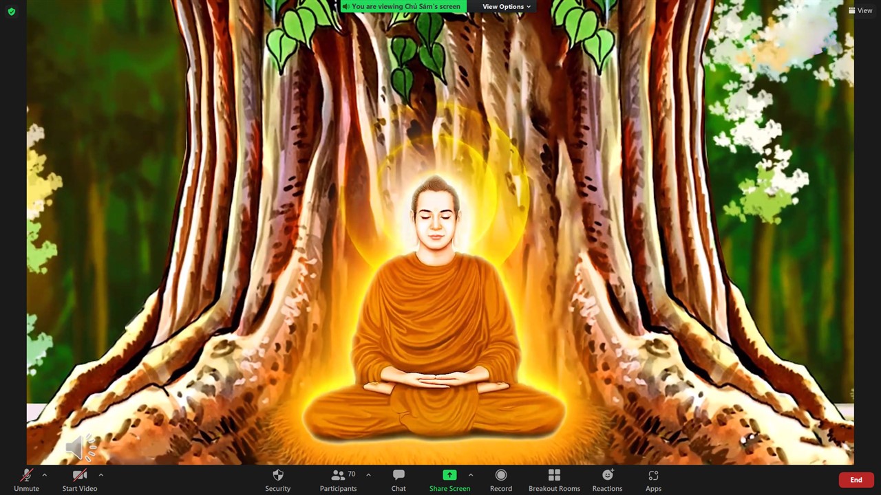 Ảnh 1