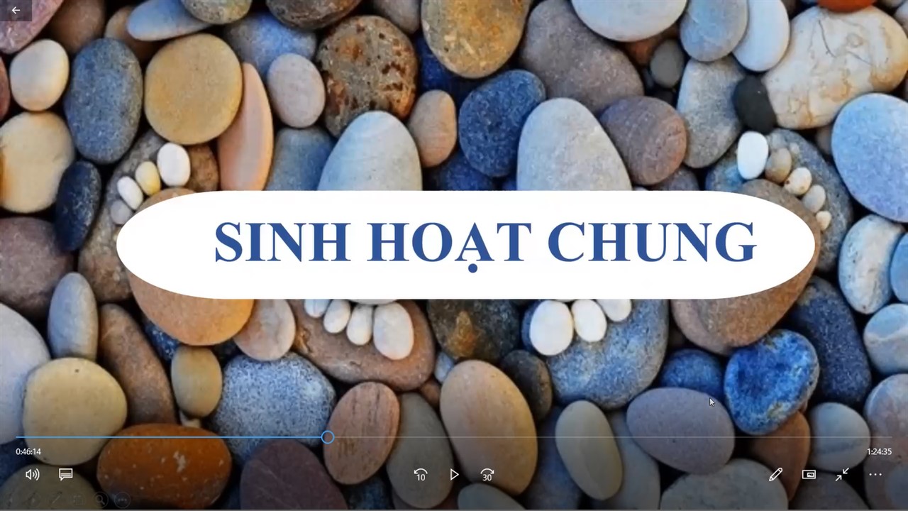 Ảnh 6