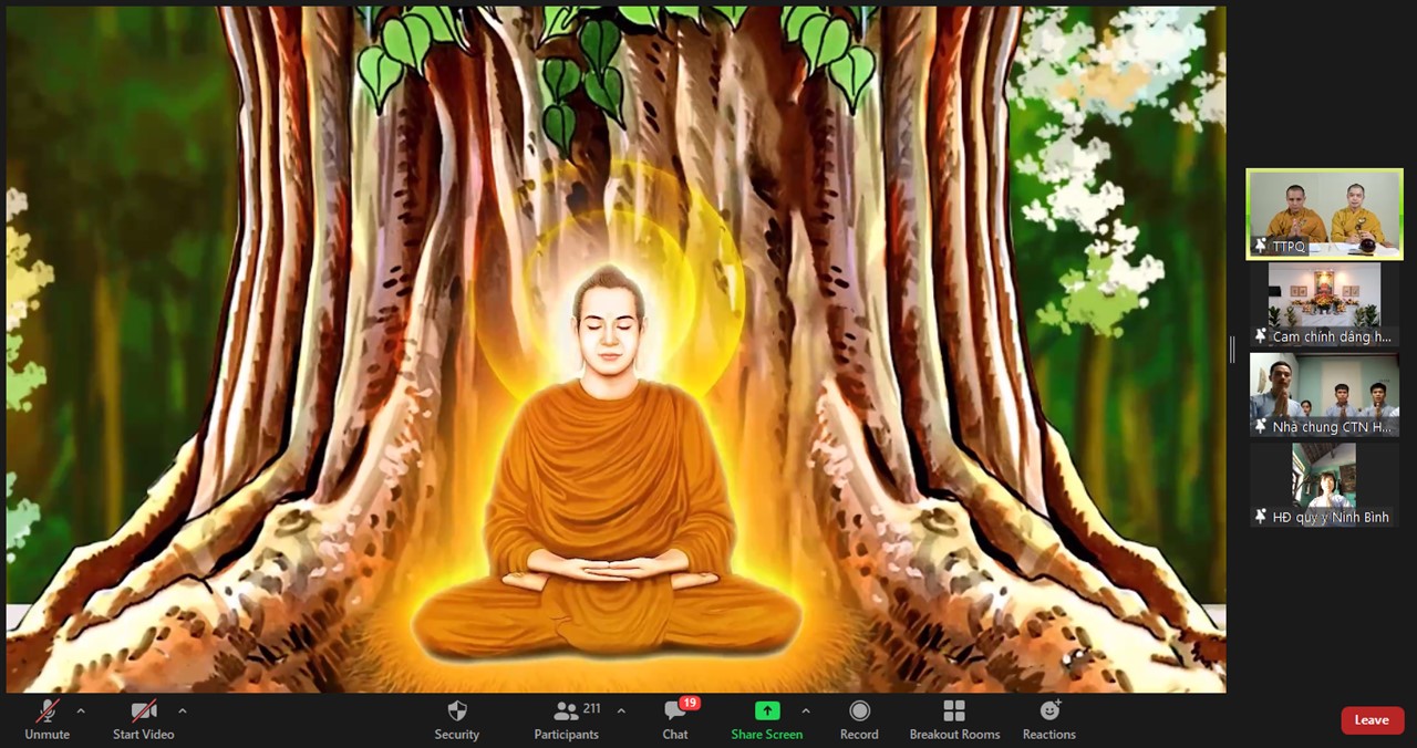 Ảnh 5